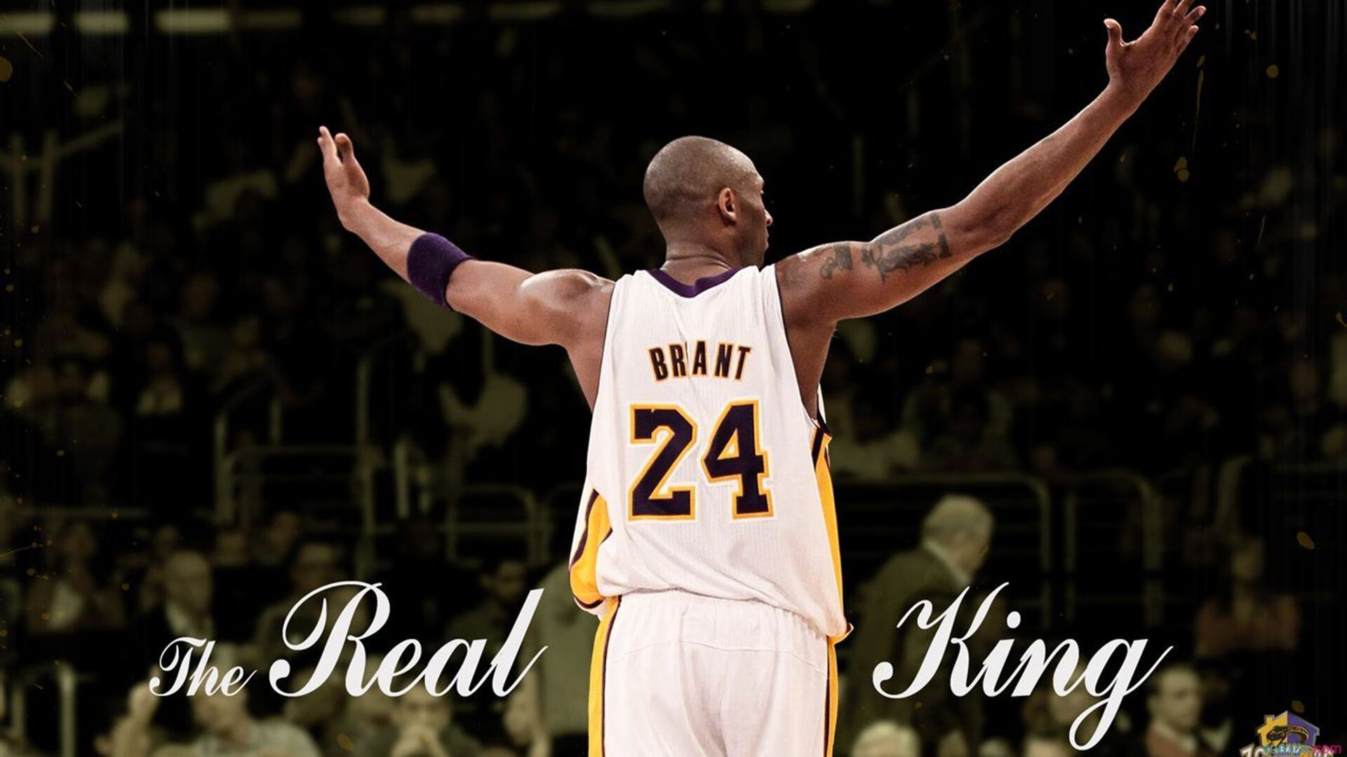 特斯·冯·迪克：强大的球场视野，令南非队的进攻更加多样化，安迪冯斯特拉克